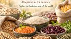 World of Grains